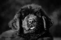 /album/fotogalerij1/mariel-21-jpg/